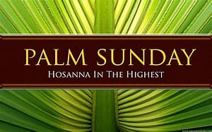 Palm Sunday Hosanna in th4e highest.